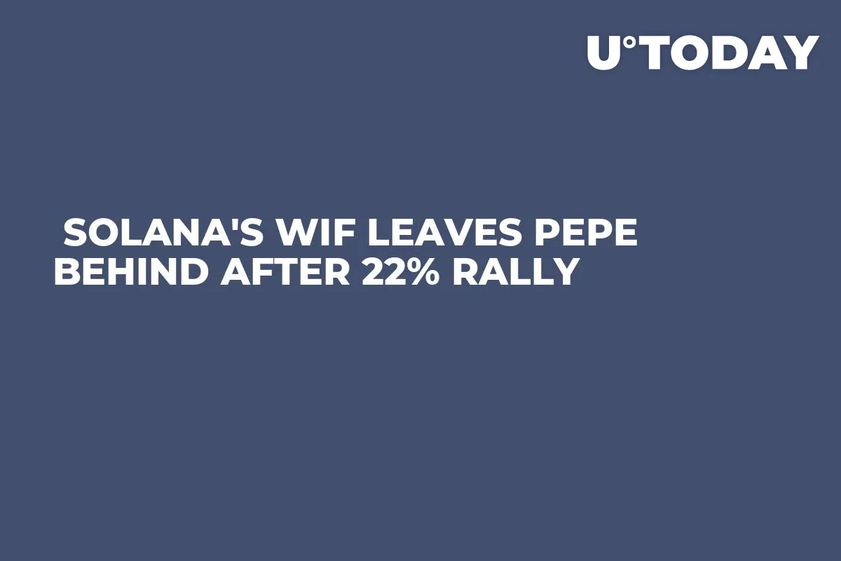  Solana's WIF Leaves Pepe Behind After 22% Rally