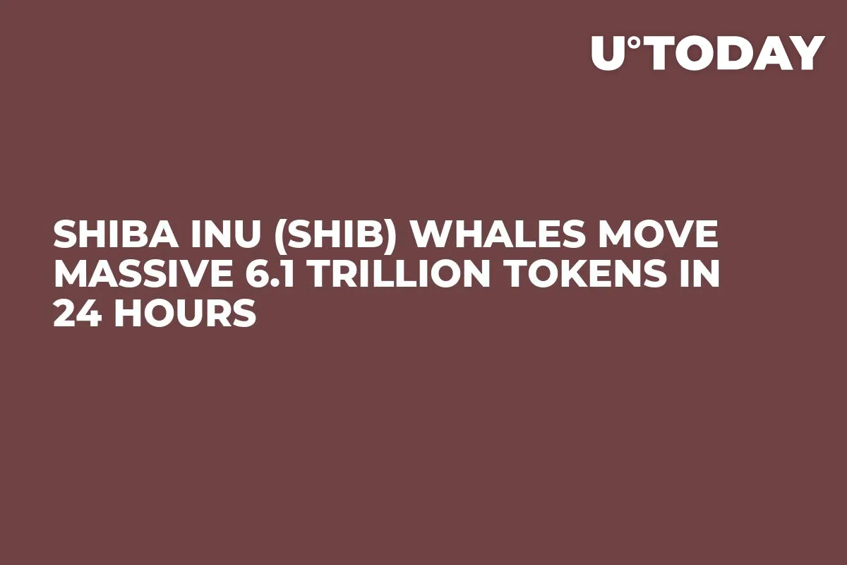 Shiba Inu (SHIB) Whales Move Massive 6.1 Trillion Tokens in 24 Hours