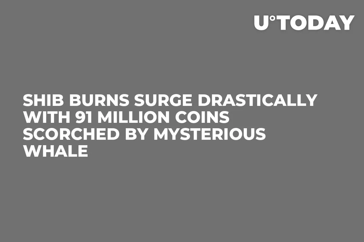 SHIB Burns Surge Drastically With 91 Million Coins Scorched by Mysterious Whale 