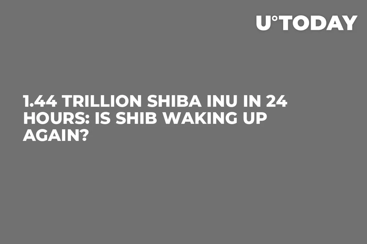 1.44 Trillion Shiba Inu in 24 Hours: Is SHIB Waking up Again?