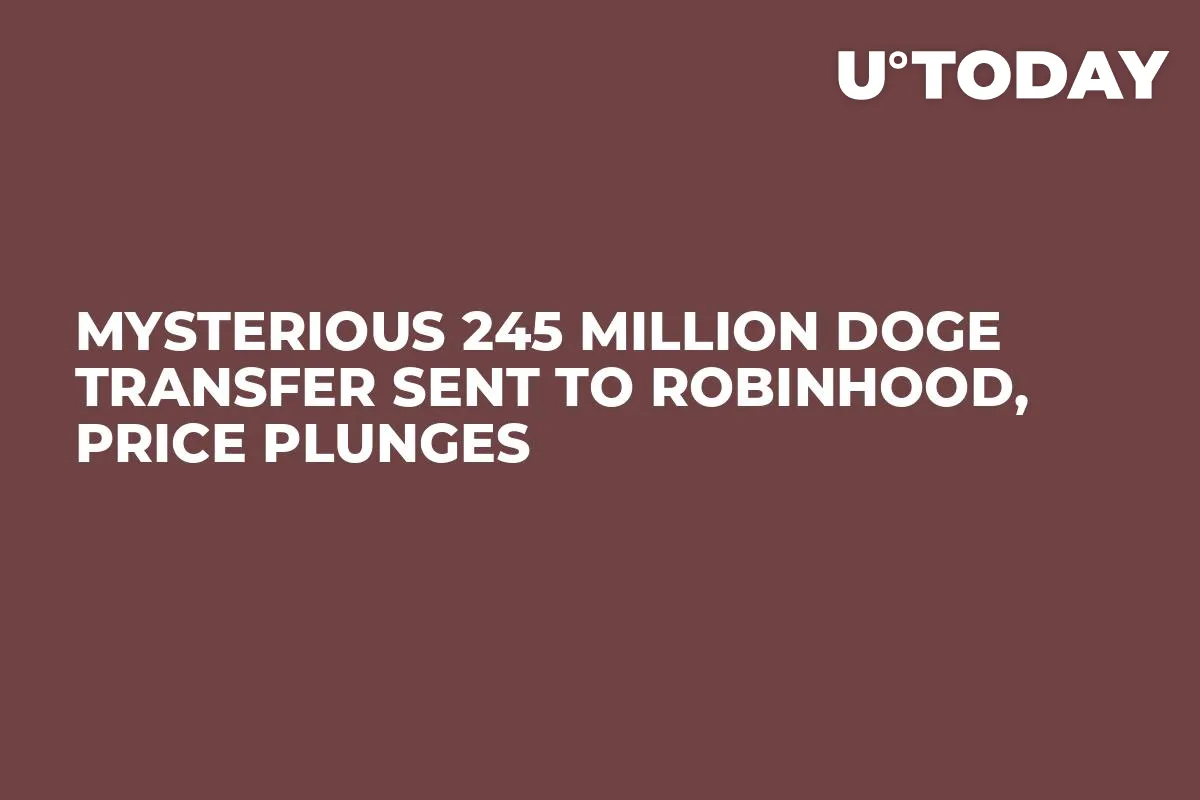 Mysterious 245 Million DOGE Transfer Sent to Robinhood, Price Plunges