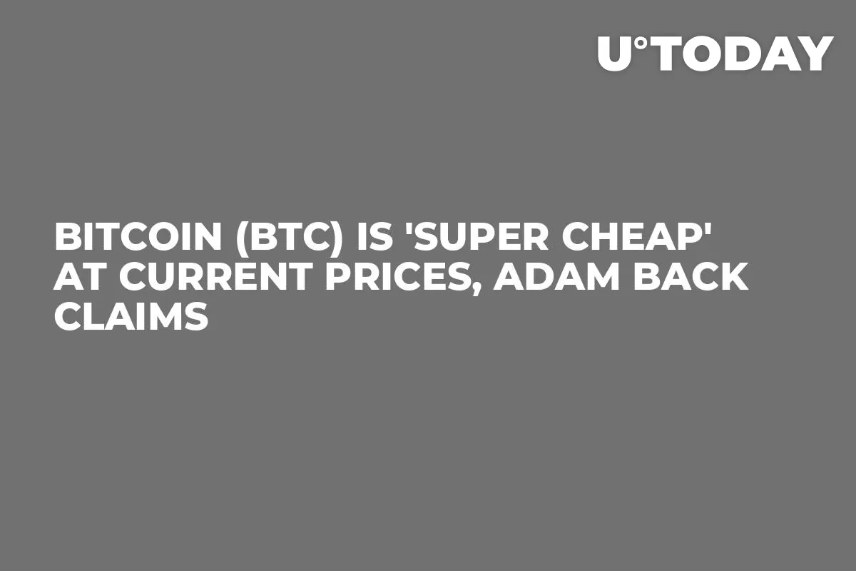 Bitcoin (BTC) Is 'Super Cheap' at Current Prices, Adam Back Claims