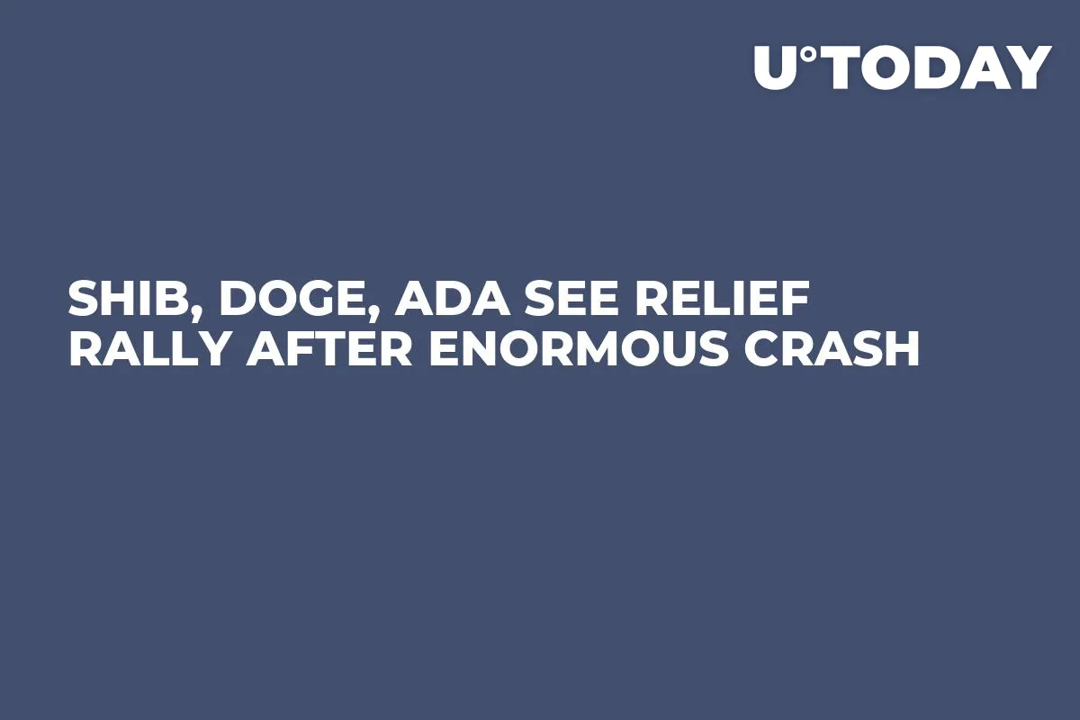 SHIB, DOGE, ADA See Relief Rally After Enormous Crash