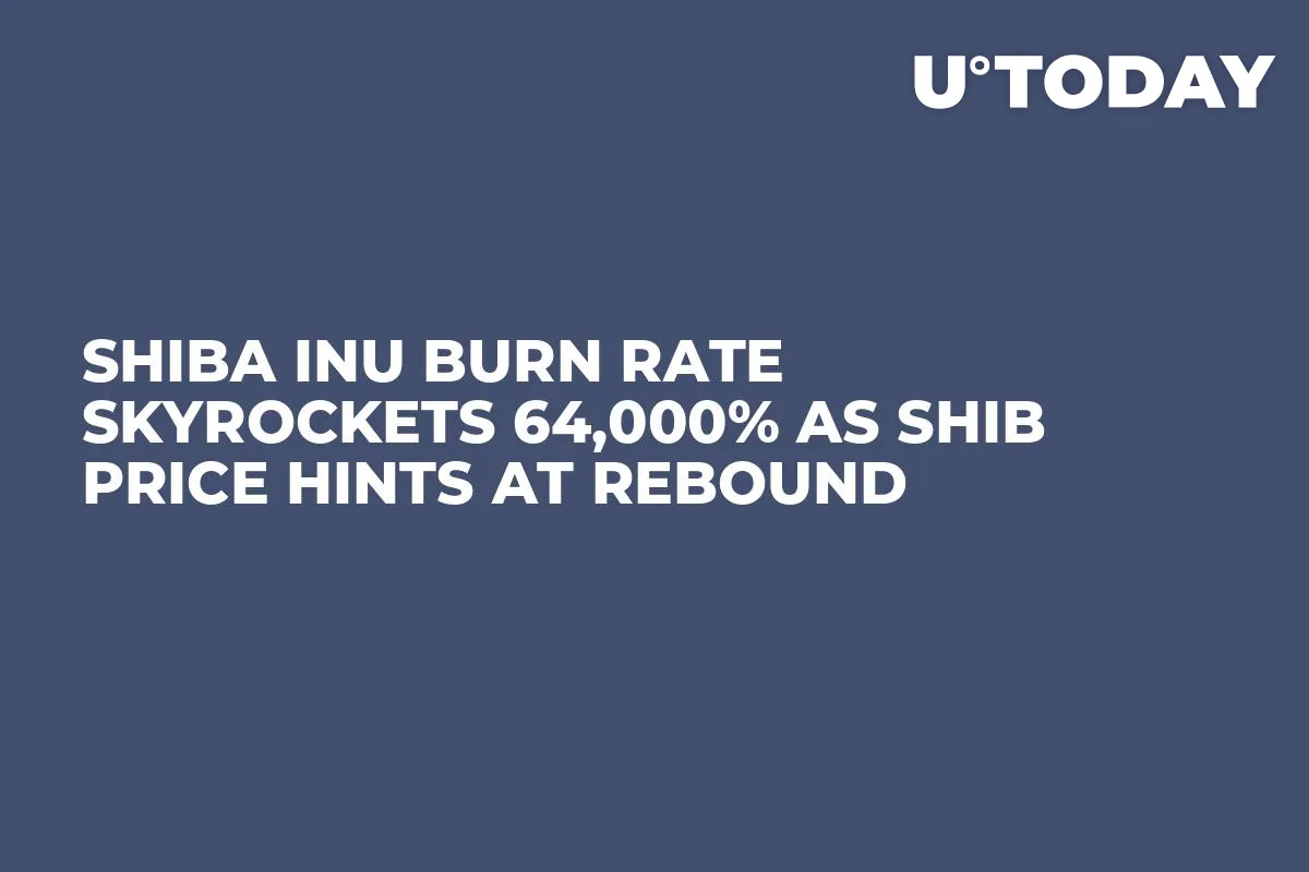 Shiba Inu Burn Rate Skyrockets 64,000% as SHIB Price Hints at Rebound