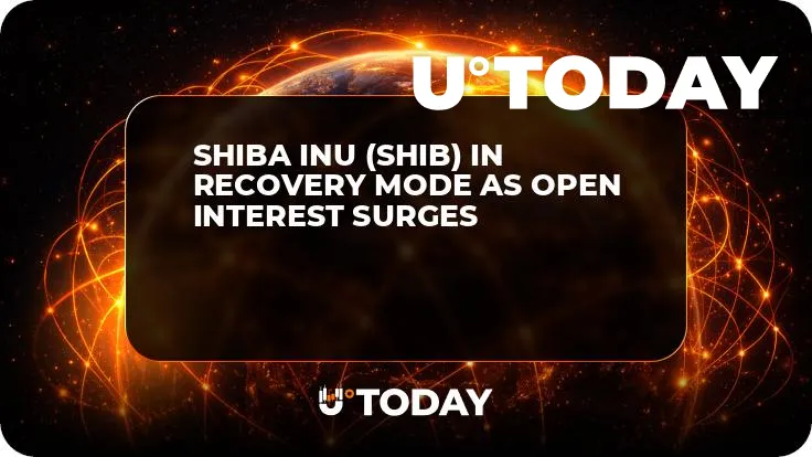 Shiba Inu (SHIB) in Recovery Mode as Open Interest Surges