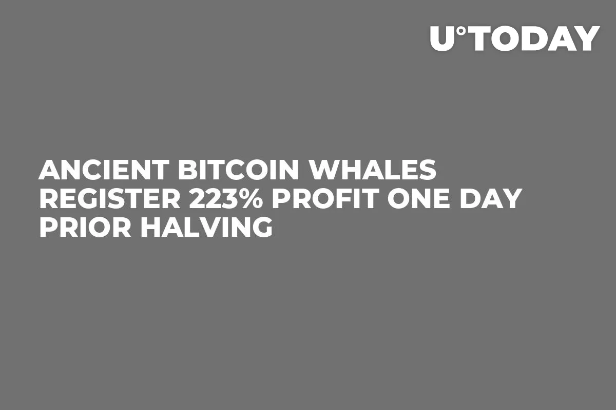 Ancient Bitcoin Whales Register 223% Profit One Day Prior Halving