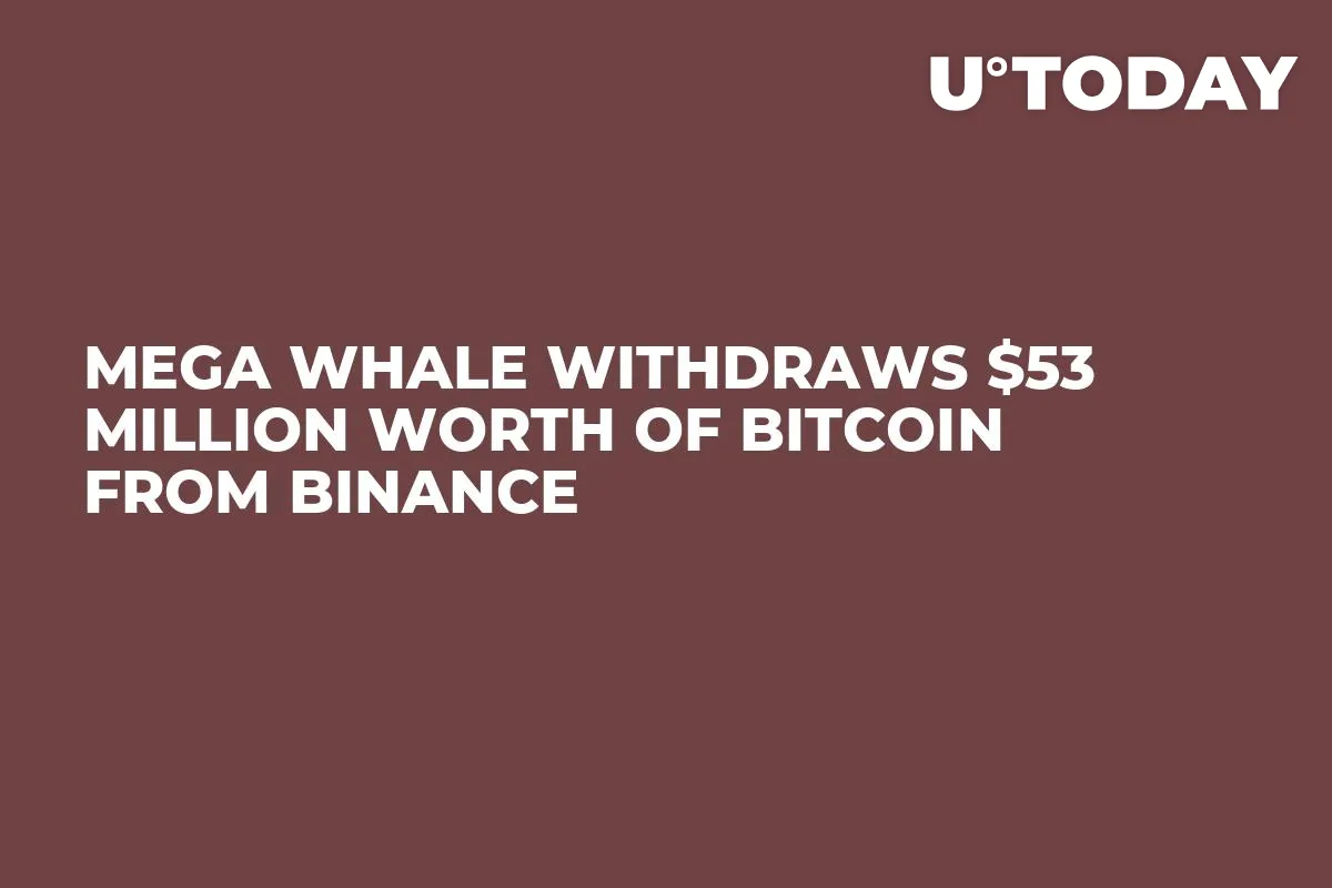 Mega Whale Withdraws $53 Million Worth of Bitcoin from Binance