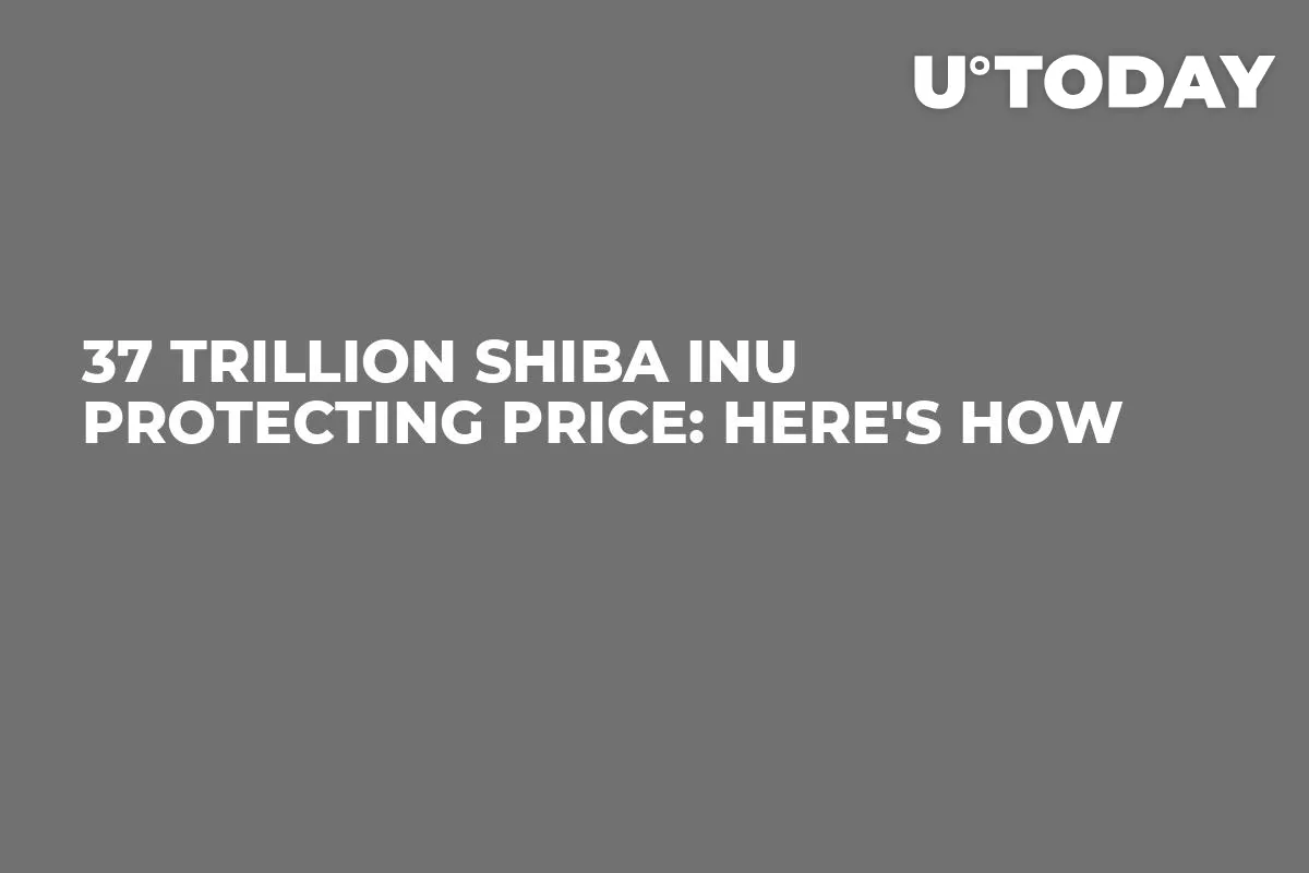 37 Trillion Shiba Inu Protecting Price: Here's How