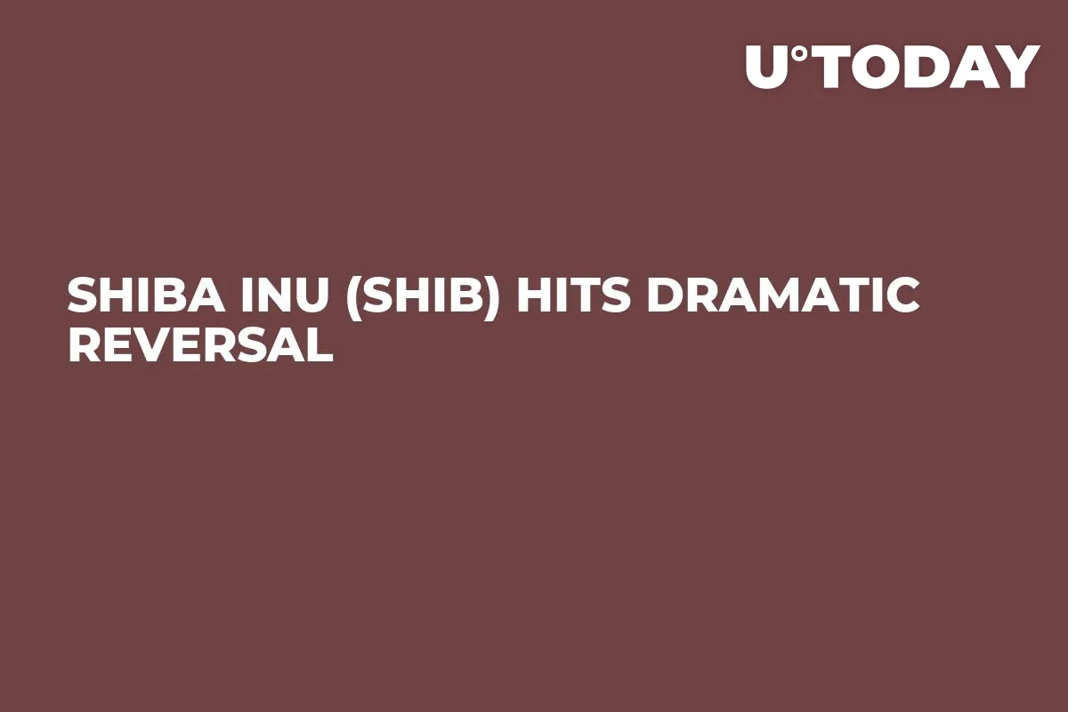 Shiba Inu (SHIB) Hits Dramatic Reversal 