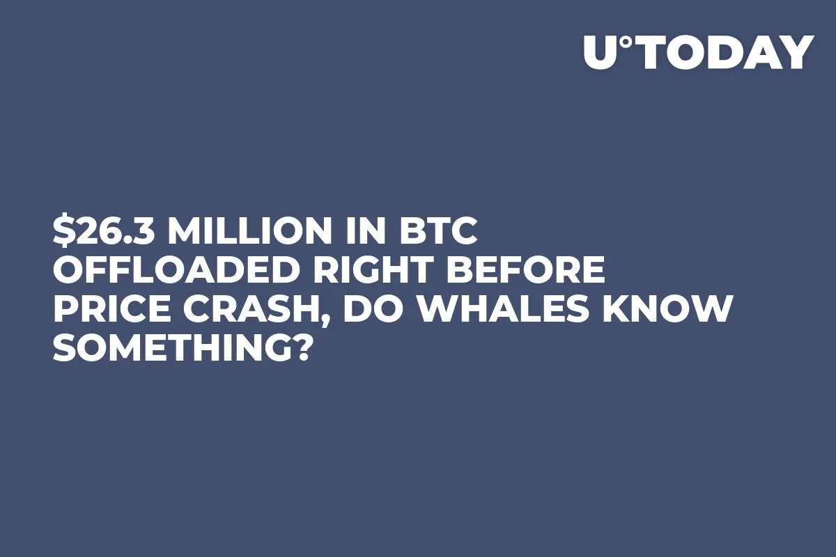 $26.3 Million in BTC Offloaded Right Before Price Crash, Do Whales Know Something?