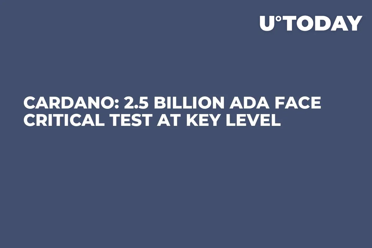 Cardano: 2.5 Billion ADA Face Critical Test at Key Level