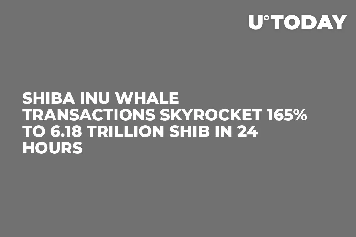 Shiba Inu Whale Transactions Skyrocket 165% to 6.18 Trillion SHIB in 24 Hours
