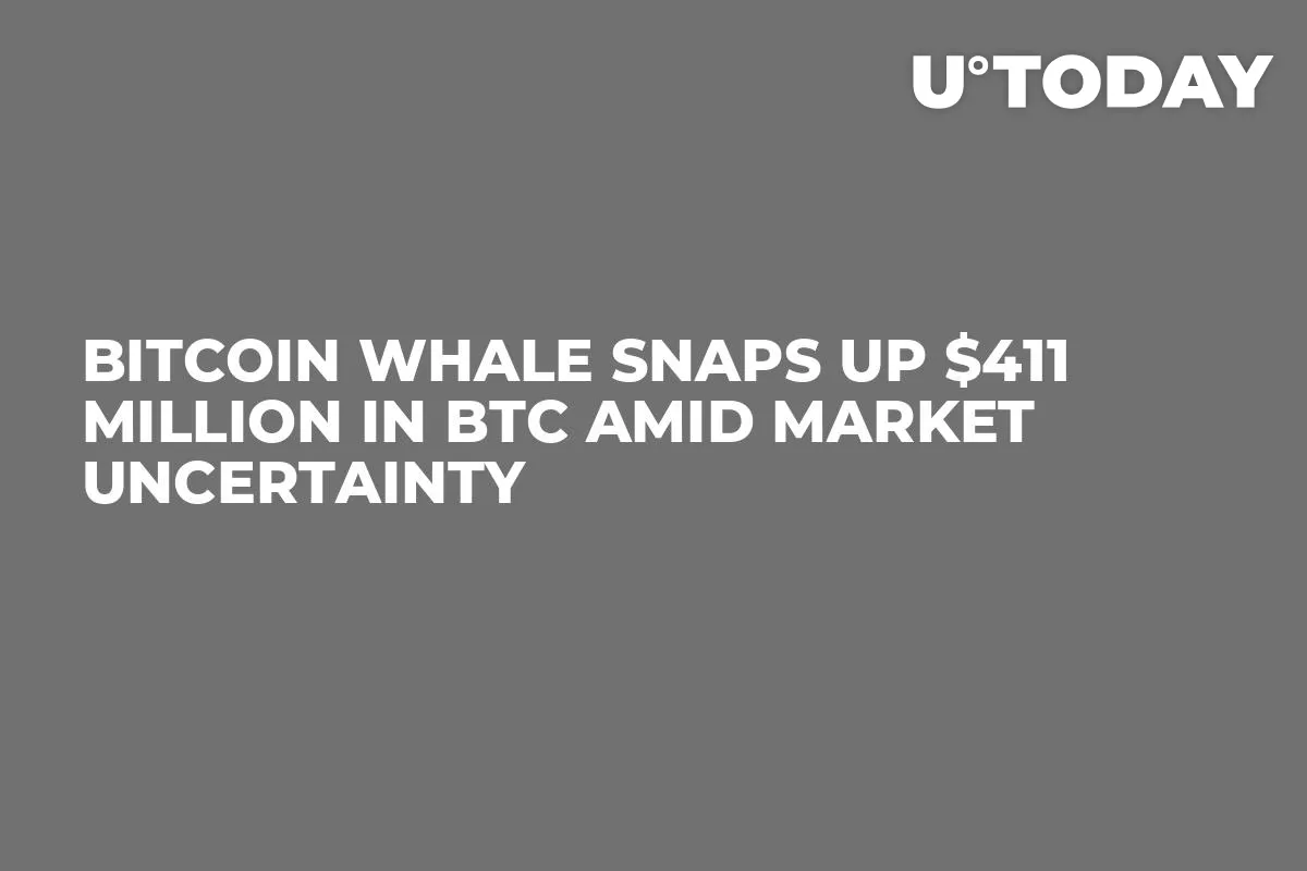 Bitcoin Whale Snaps up $411 Million in BTC Amid Market Uncertainty