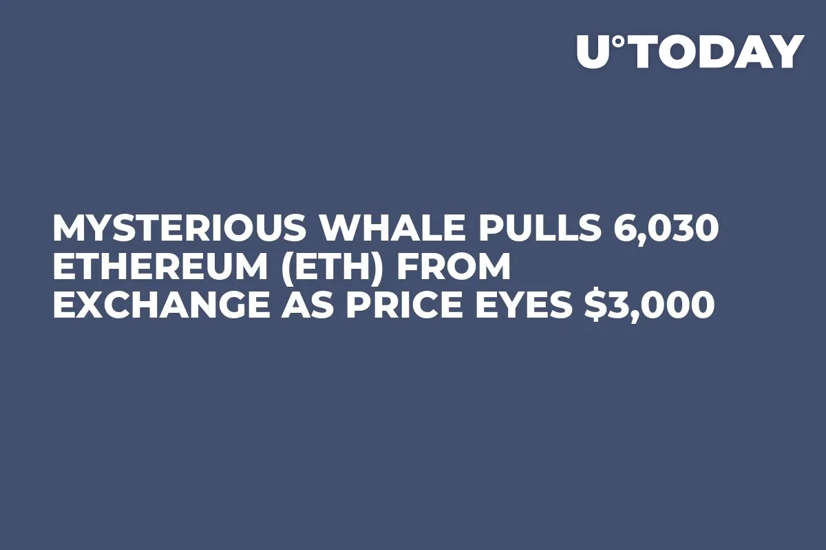 Mysterious Whale Pulls 6,030 Ethereum (ETH) From Exchange as Price Eyes $3,000