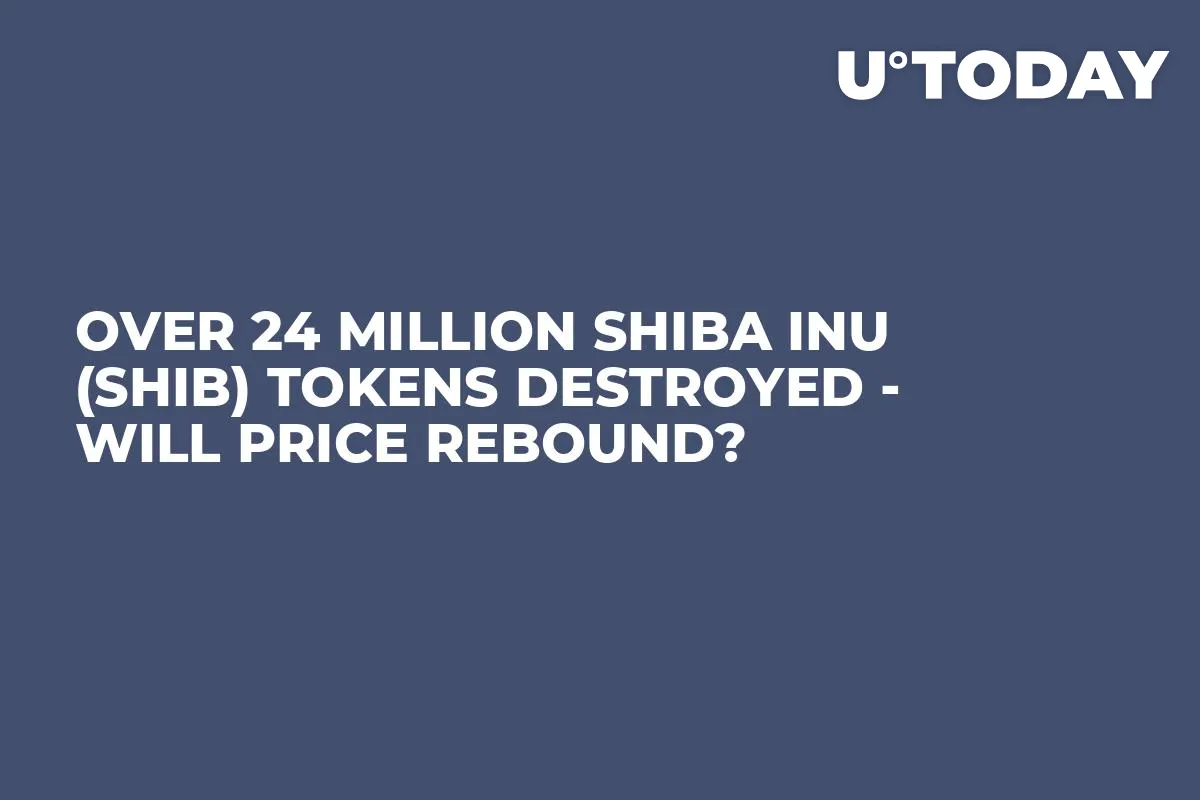 Over 24 Million Shiba Inu (SHIB) Tokens Destroyed - Will Price Rebound?