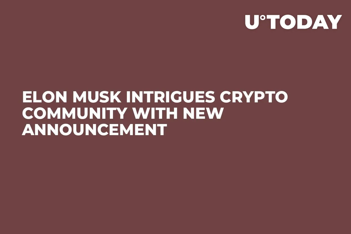 Elon Musk Intrigues Crypto Community With New Announcement