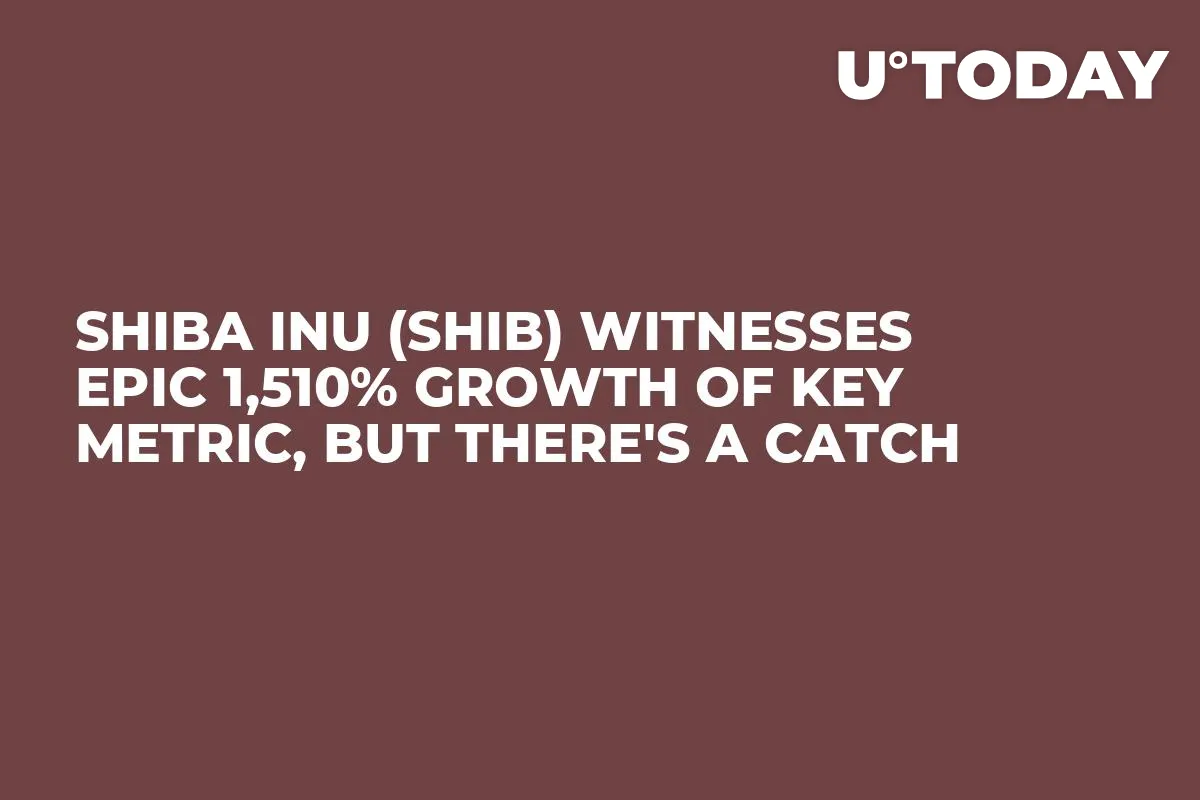 Shiba Inu (SHIB) Witnesses Epic 1,510% Growth of Key Metric, But There's a Catch