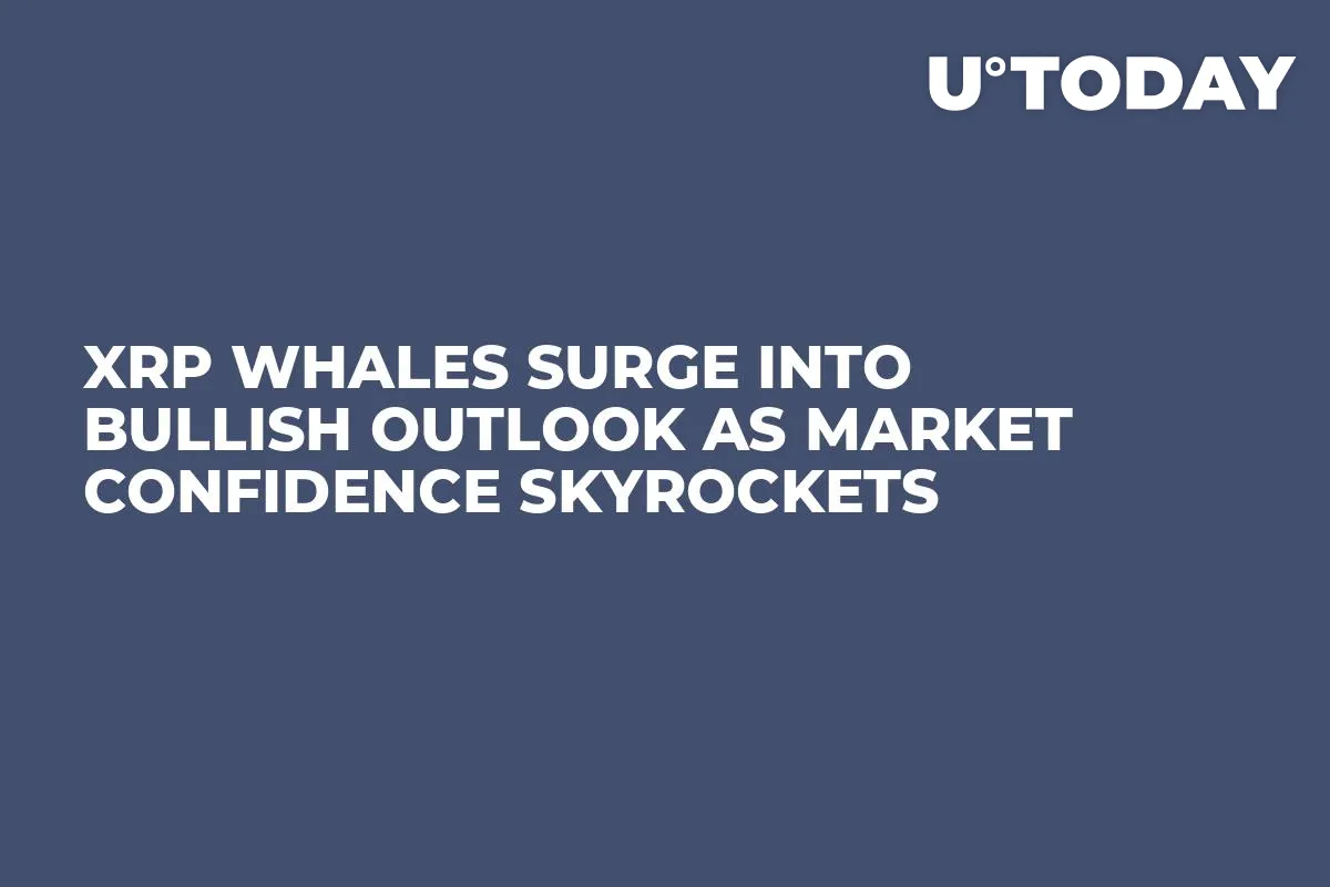 XRP Whales Surge into Bullish Outlook as Market Confidence Skyrockets