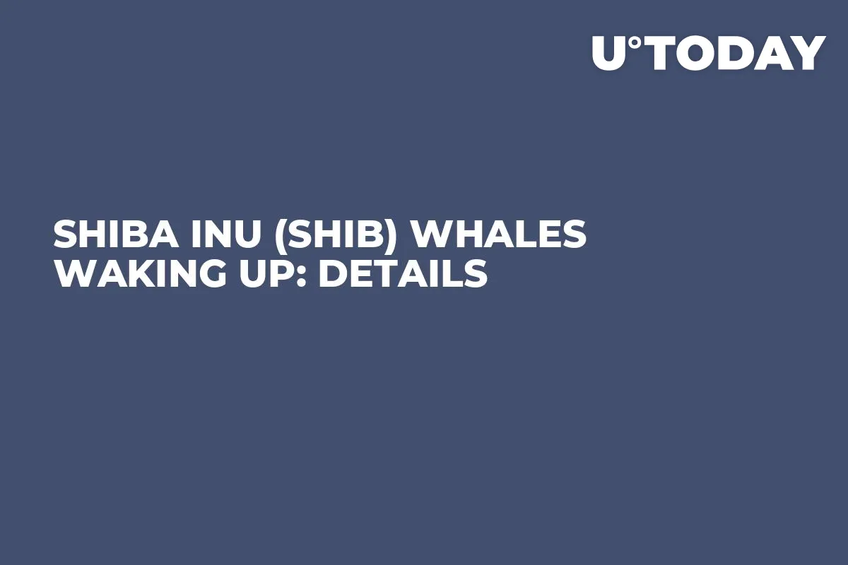 Shiba Inu (SHIB) Whales Waking Up: Details
