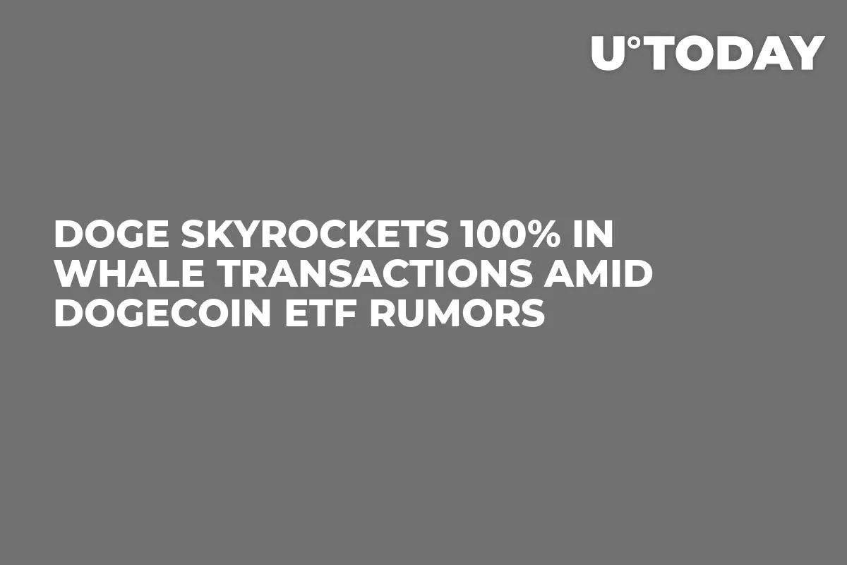 DOGE Skyrockets 100% in Whale Transactions Amid Dogecoin ETF Rumors