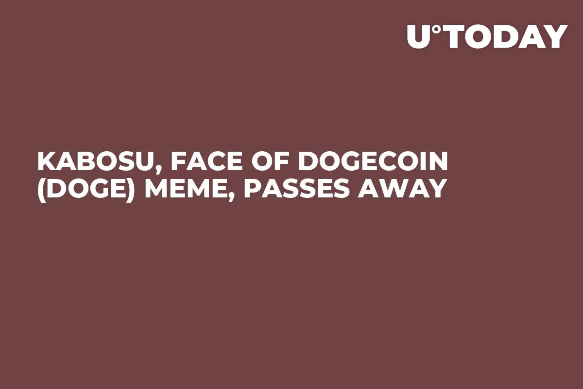 Kabosu, Face of Dogecoin (DOGE) Meme, Passes Away
