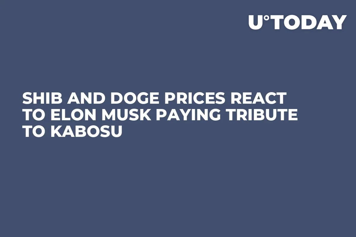 SHIB and DOGE Prices React to Elon Musk Paying Tribute to Kabosu