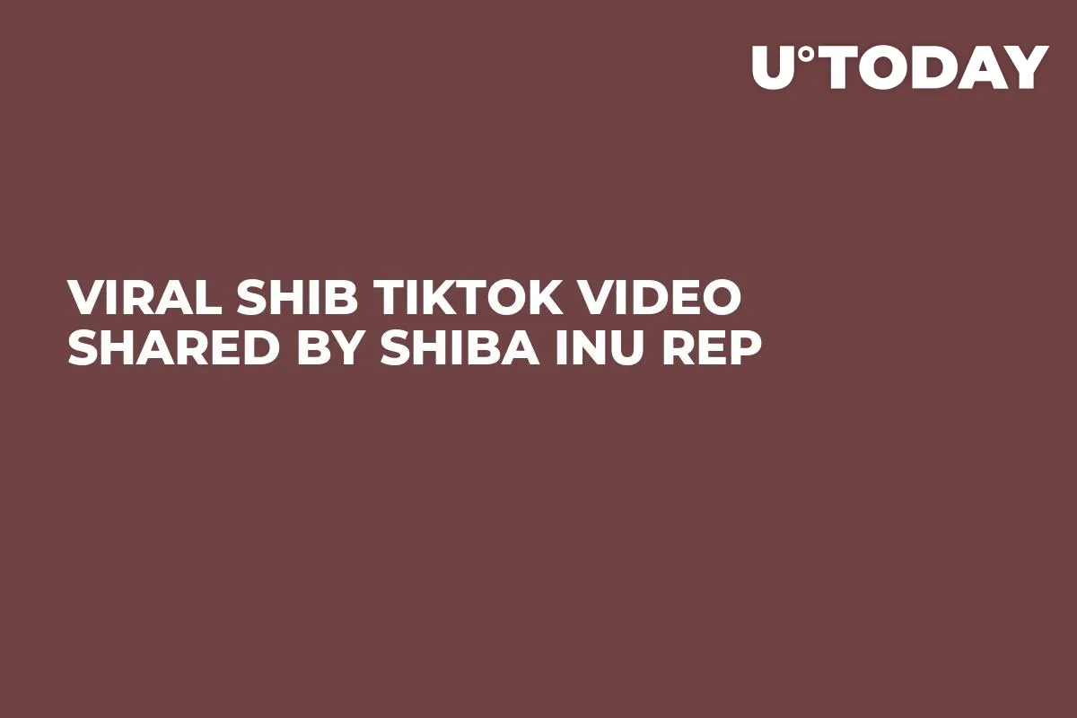 Viral SHIB TikTok Video Shared by Shiba Inu Rep