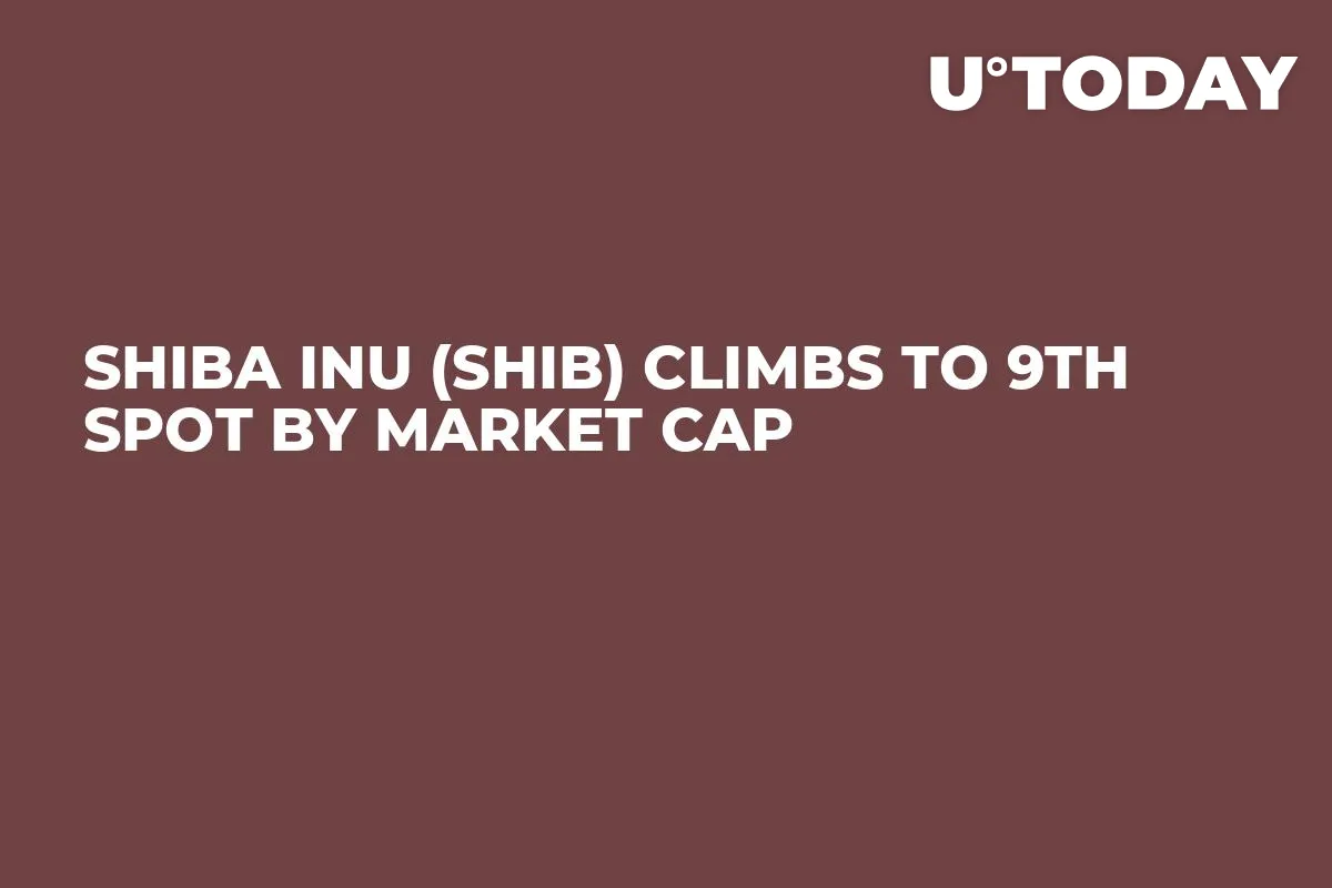Shiba Inu (SHIB) Climbs to 9th Spot by Market Cap