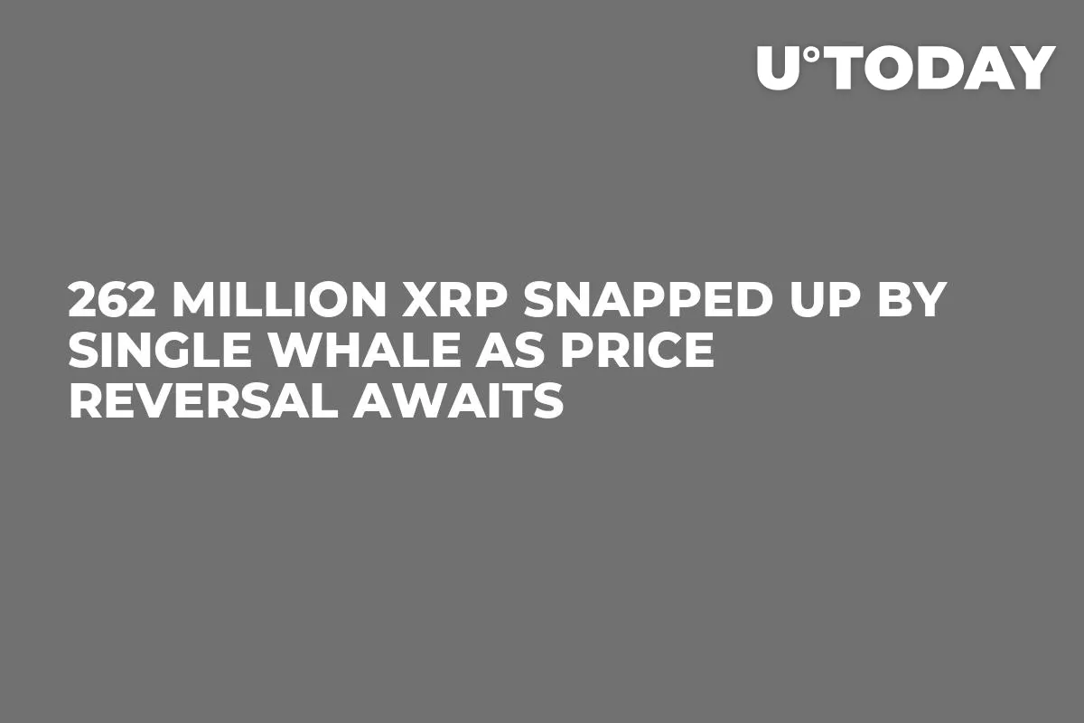 262 Million XRP Snapped up by Single Whale as Price Reversal Awaits