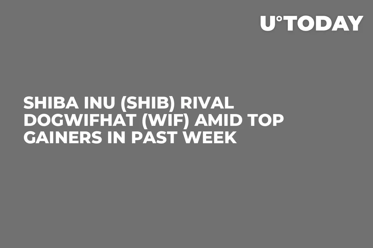 Shiba Inu (SHIB) Rival Dogwifhat (WIF) Amid Top Gainers in Past Week