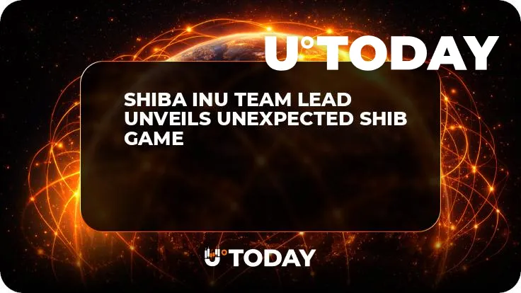 Shiba Inu Team Lead Unveils Unexpected SHIB Game