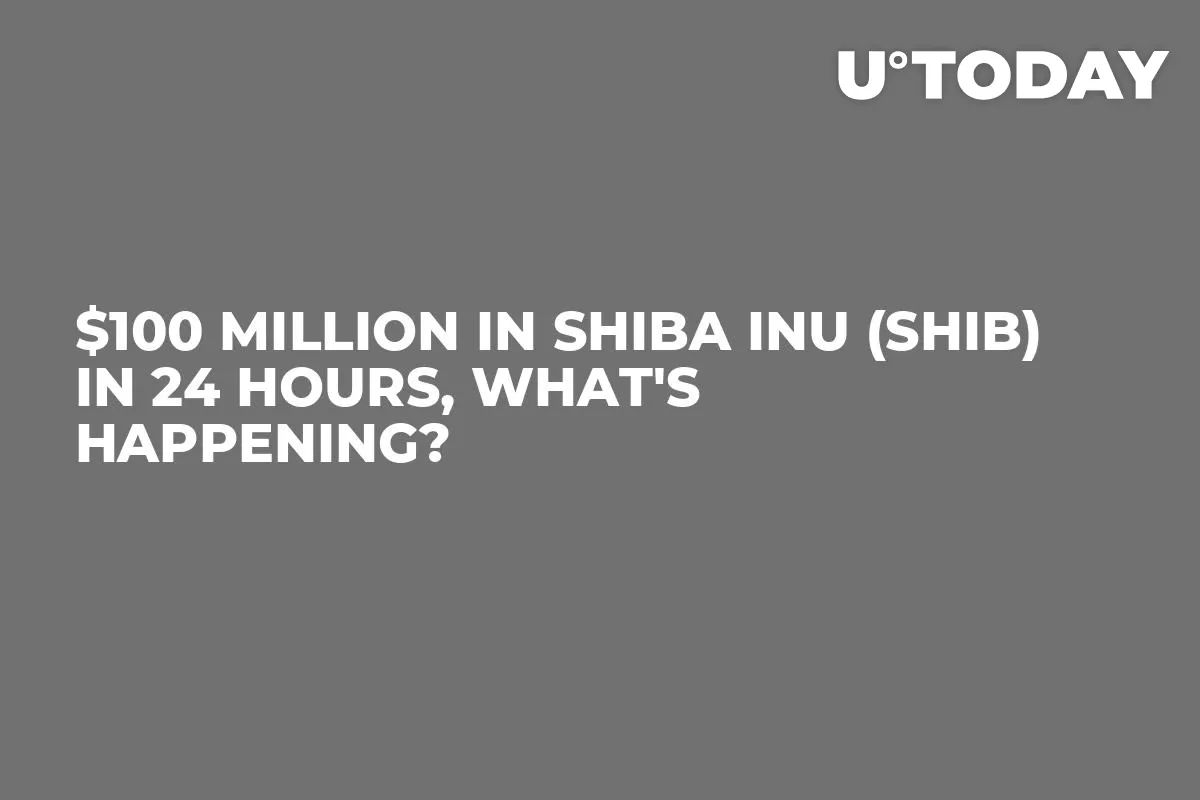 $100 Million in Shiba Inu (SHIB) in 24 Hours, What's Happening?