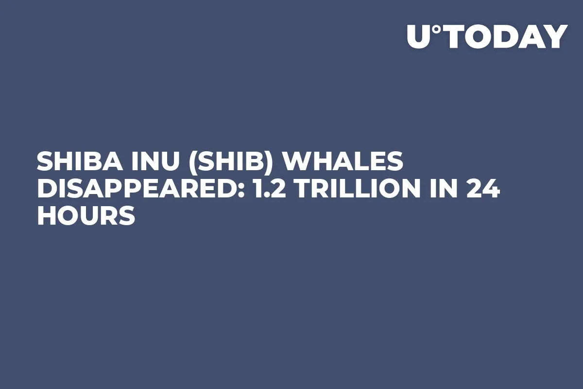 Shiba Inu (SHIB) Whales Disappeared: 1.2 Trillion in 24 Hours