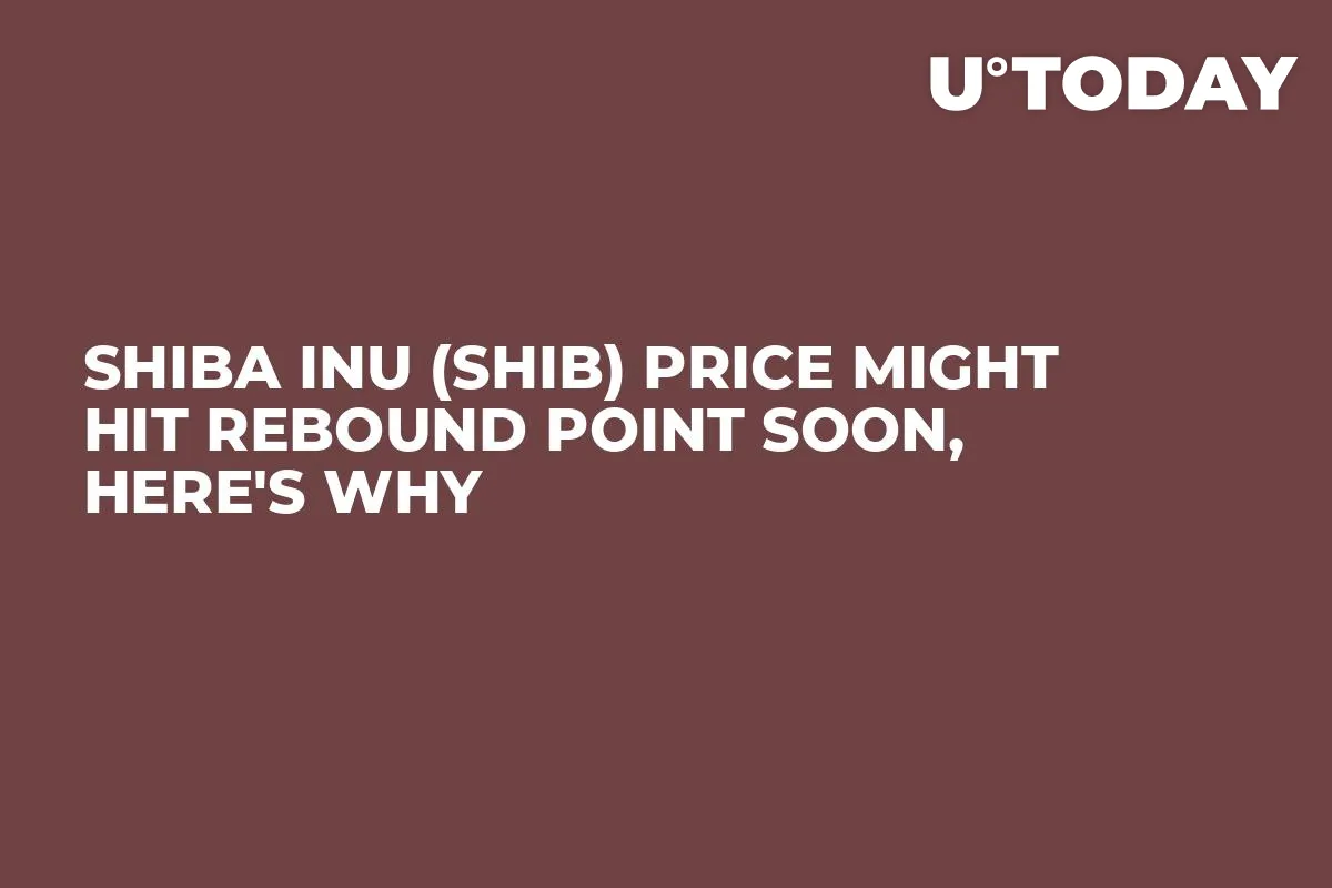 Shiba Inu (SHIB) Price Might Hit Rebound Point Soon, Here's Why