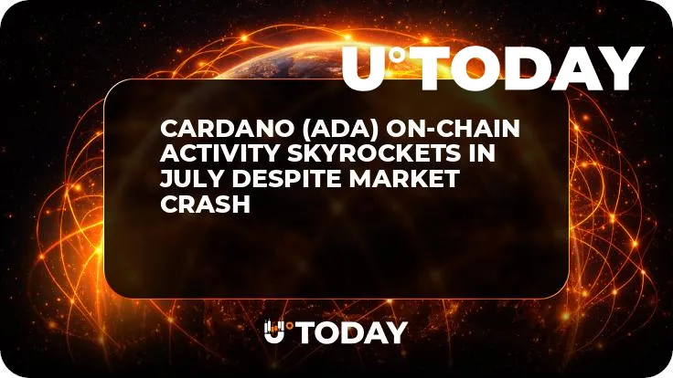 Cardano (ADA) On-Chain Activity Skyrockets in July Despite Market Crash