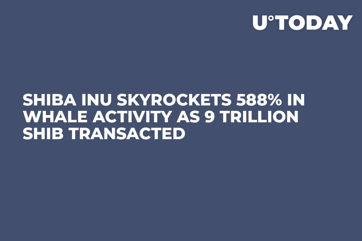 Shiba Inu Skyrockets 588% in Whale Activity as 9 Trillion SHIB Transacted