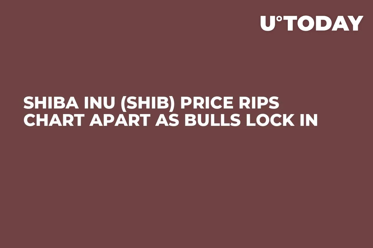 Shiba Inu (SHIB) Price Rips Chart Apart as Bulls Lock In