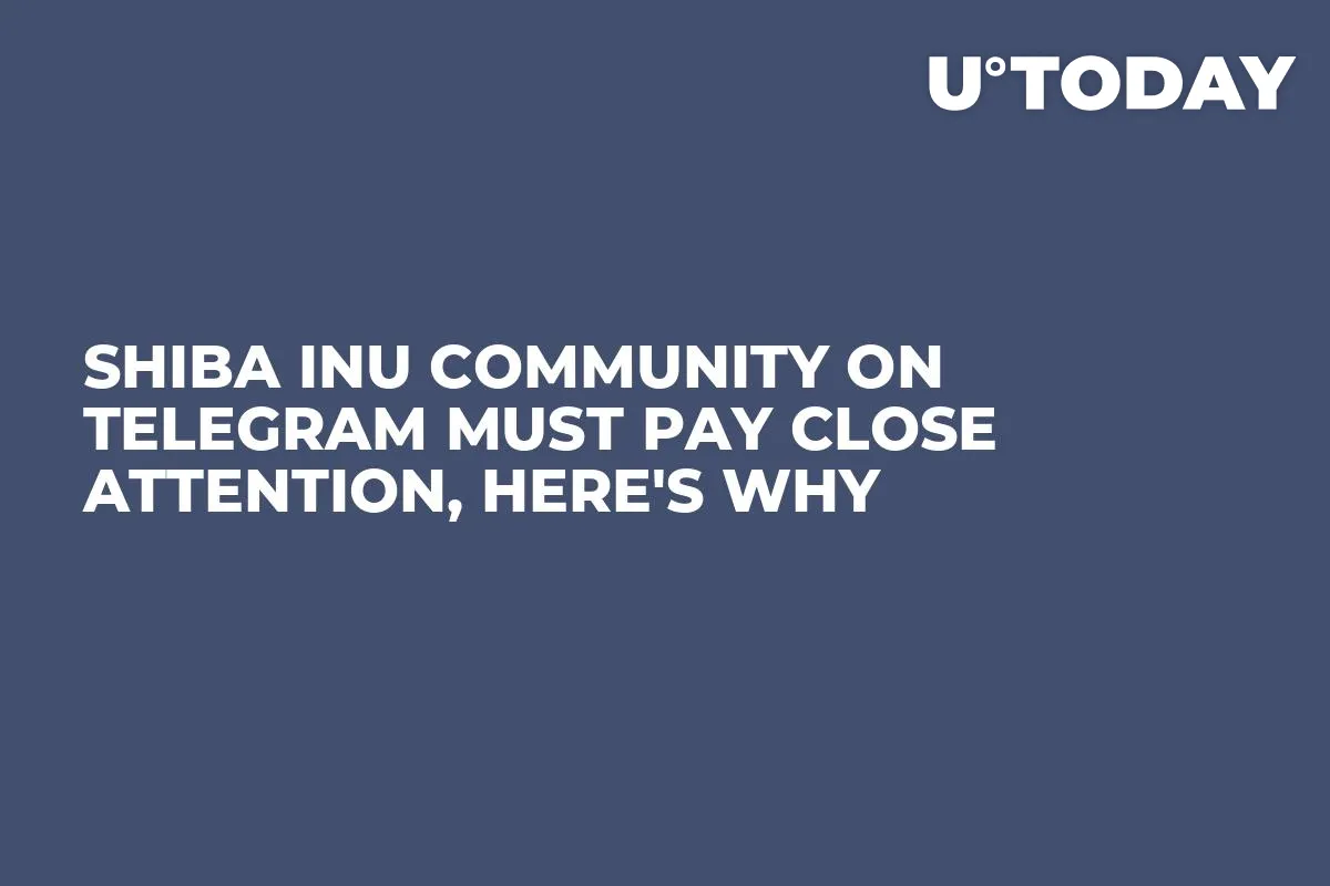 Shiba Inu Community on Telegram Must Pay Close Attention, Here's Why