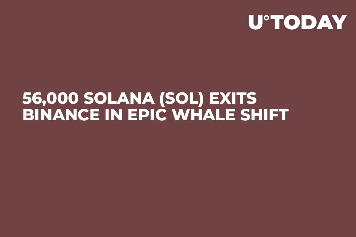 56,000 Solana (SOL) Exits Binance in Epic Whale Shift