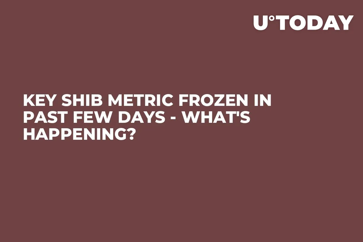 Key SHIB Metric Frozen in Past Few Days - What's Happening?