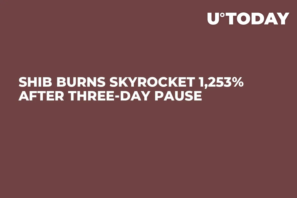 SHIB Burns Skyrocket 1,253% After Three-Day Pause