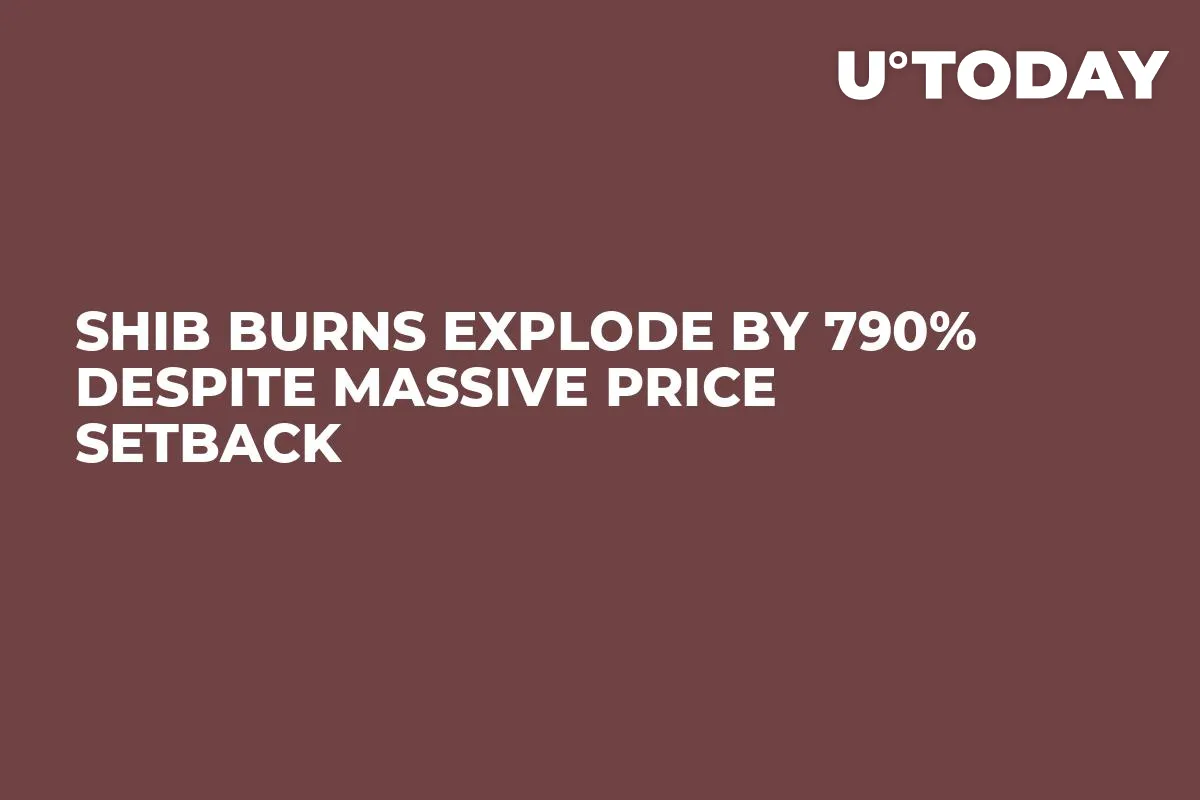 SHIB Burns Explode by 790% Despite Massive Price Setback