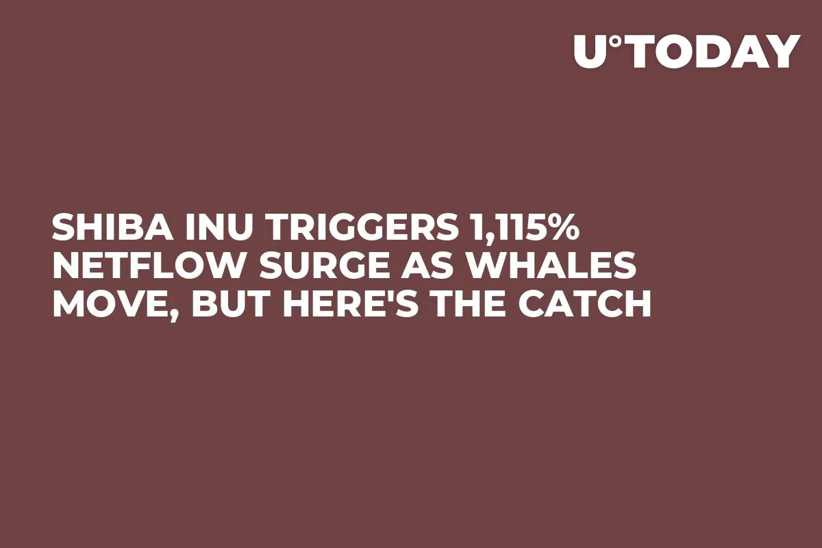 Shiba Inu Triggers 1,115% Netflow Surge as Whales Move, But Here's the Catch
