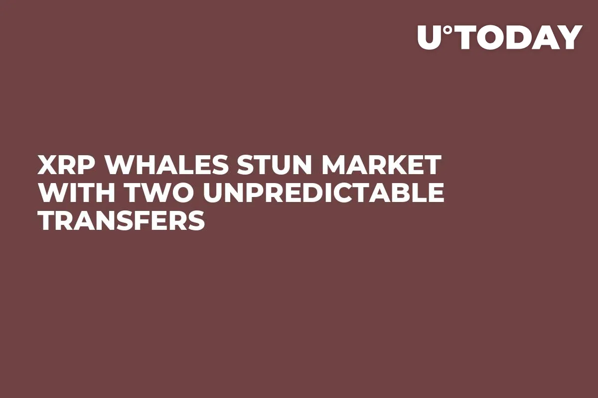 XRP Whales Stun Market With Two Unpredictable Transfers