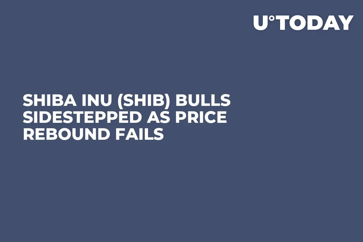 Shiba Inu (SHIB) Bulls Sidestepped as Price Rebound Fails