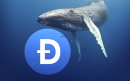 Dogecoin Whale Transactions Jump 45% as DOGE Sees Buying Pressure