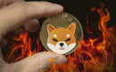 Shiba Inu Burn Portal Hits Another Significant Milestone in Amount of SHIB Burned