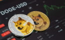 1.7 Million Dogecoin Shifted Anonymously for Fees Unimaginable for Banks