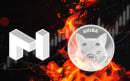 Shiba Inu Burned Coins Exceed Market Cap of MATIC with $4 Billion Worth of Tokens Destroyed