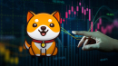 BabyDoge Spikes up 20% Amid Potential Major Crypto Exchange Listing
